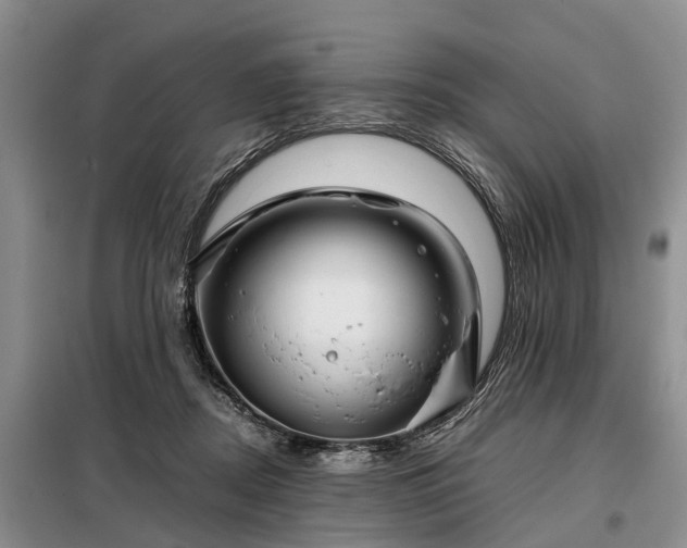 X0000099290362200805090936