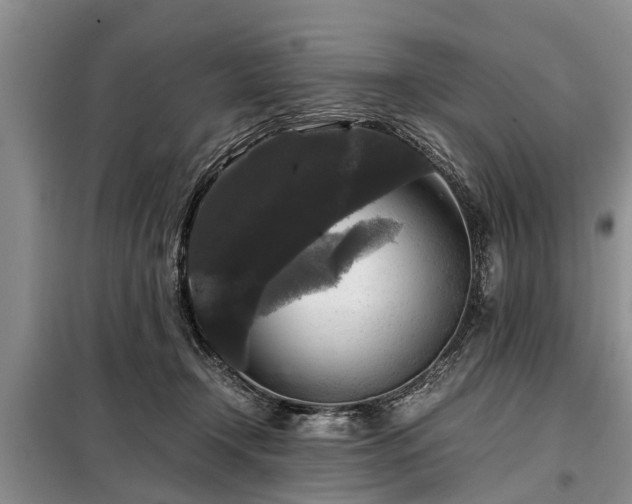 X0000099290366200805090936