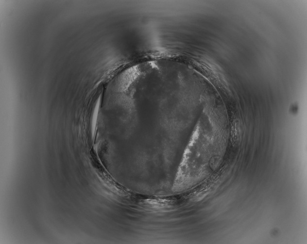X0000099290367200805090936