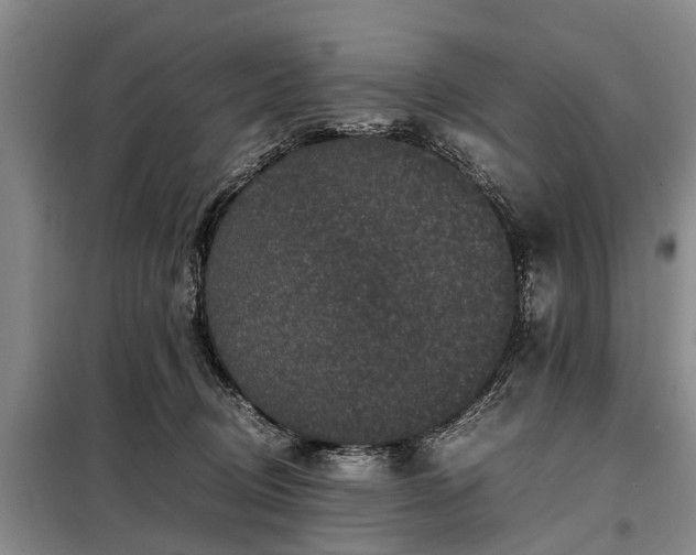 X0000099290370200805090936