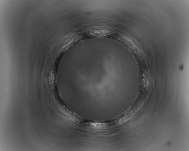 X0000099290371200805090936