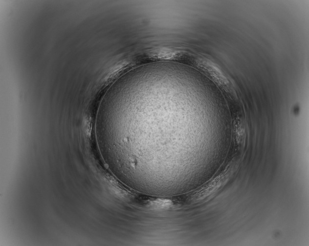 X0000099290374200805090936