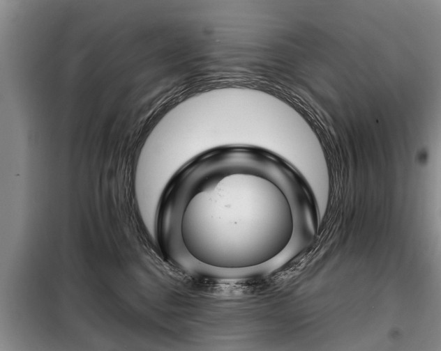 X0000099290376200805090936