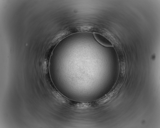 X0000099290378200805090936
