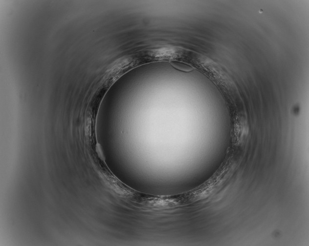X0000099290379200805090936