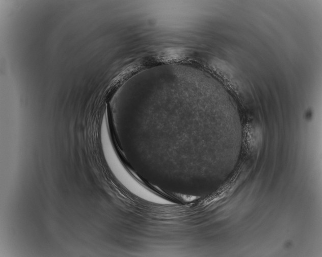 X0000099290380200805090936