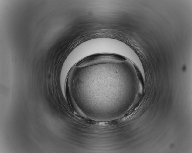 X0000099290382200805090936