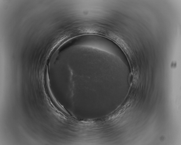 X0000099290386200805090936