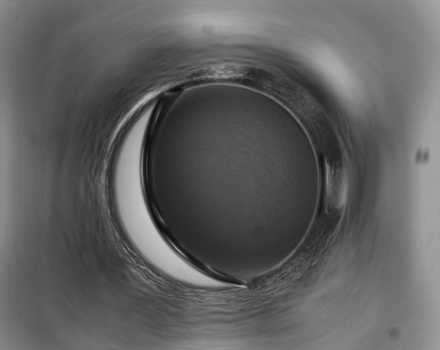X0000099290387200805090936