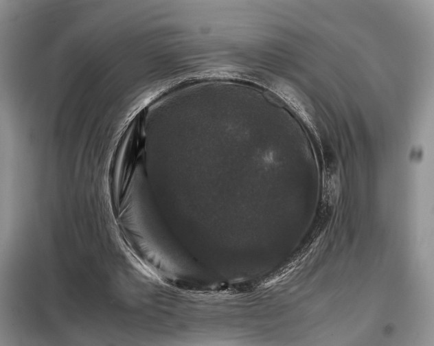 X0000099290389200805090936