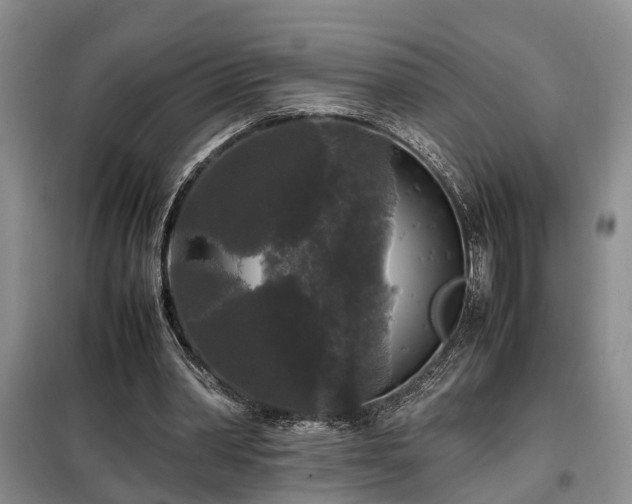 X0000099290390200805090936