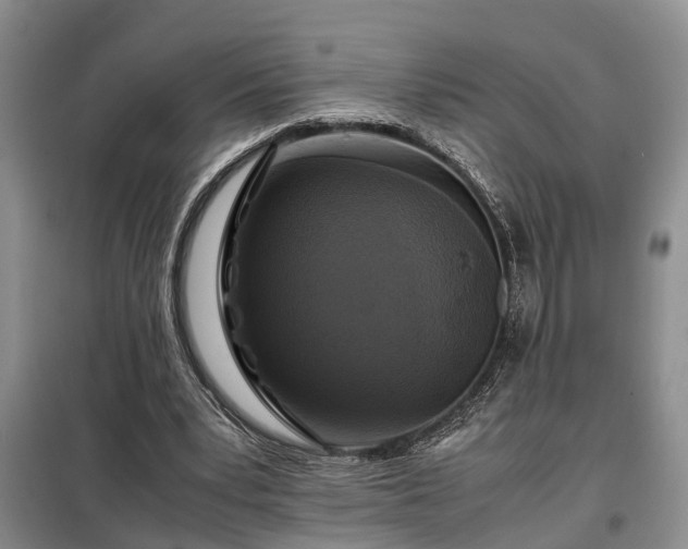 X0000099290391200805090936