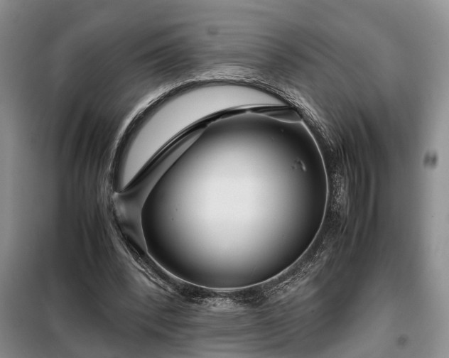 X0000099290392200805090936
