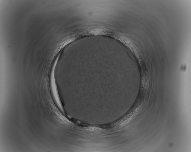 X0000099290393200805090936