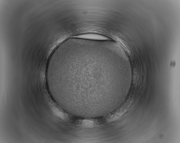 X0000099290394200805090936