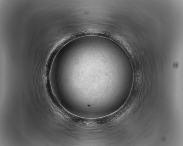 X0000099290395200805090935