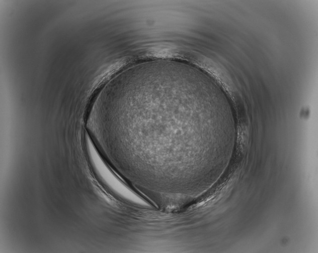 X0000099290397200805090935