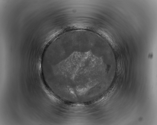 X0000099290398200805090935