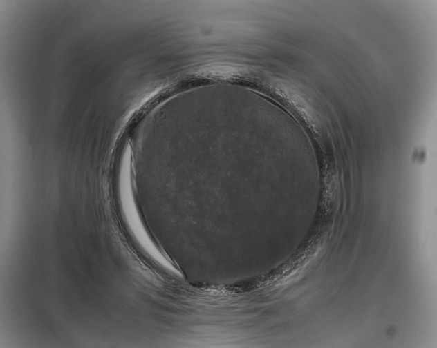 X0000099290399200805090935