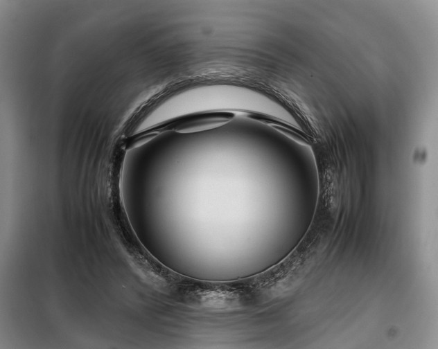 X0000099290400200805090935