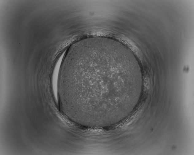 X0000099290401200805090935
