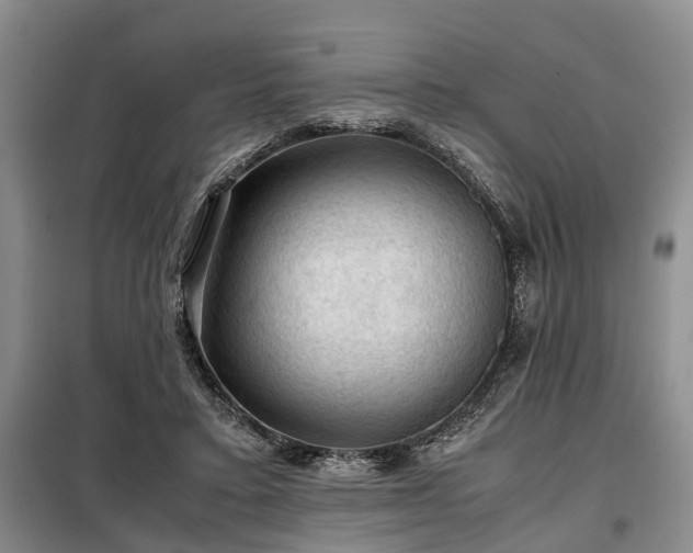 X0000099290403200805090935