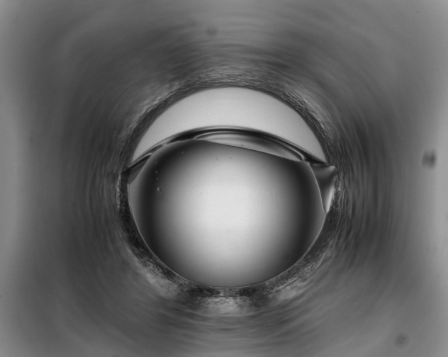 X0000099290404200805090935