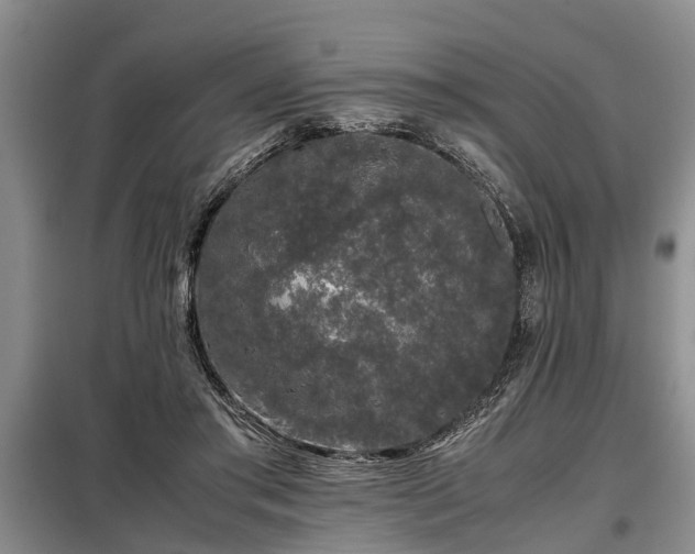 X0000099290405200805090935