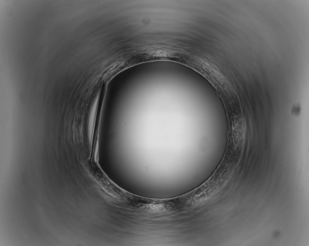X0000099290406200805090935