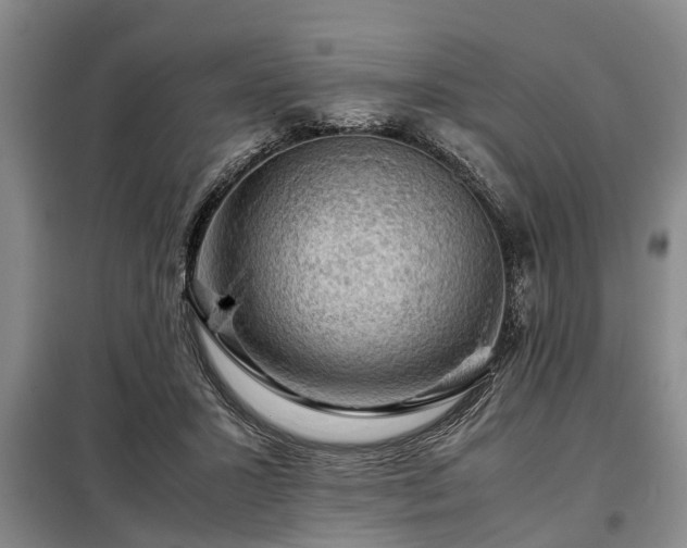 X0000099290407200805090935