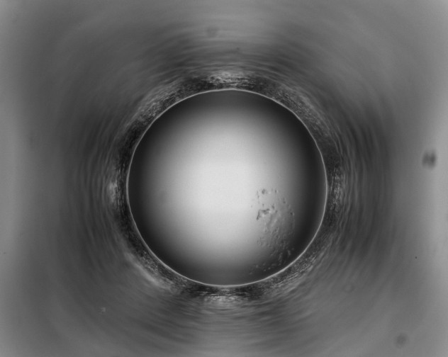 X0000099290408200805090935