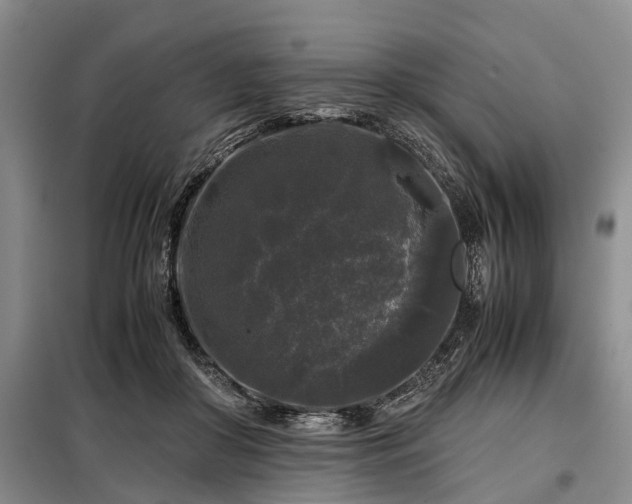 X0000099290410200805090935