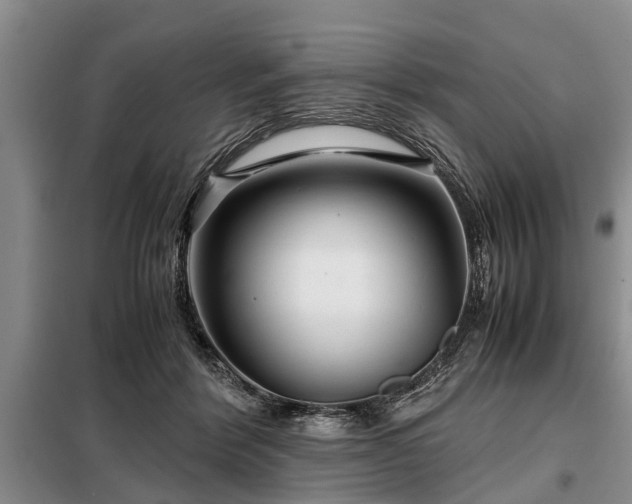 X0000099290412200805090935