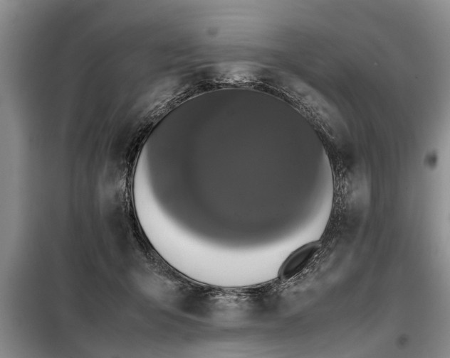 X0000099290415200805090935