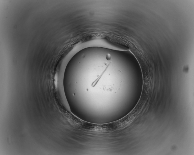 X0000099290416200805090935