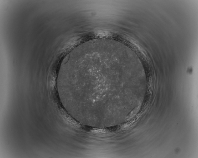 X0000099290417200805090935
