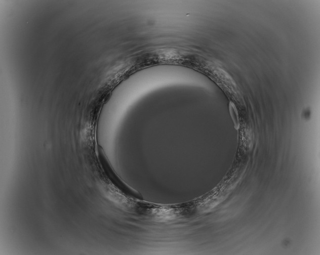 X0000099290419200805090935
