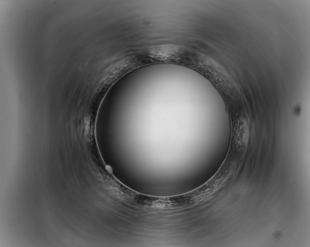 X0000099290420200805090935