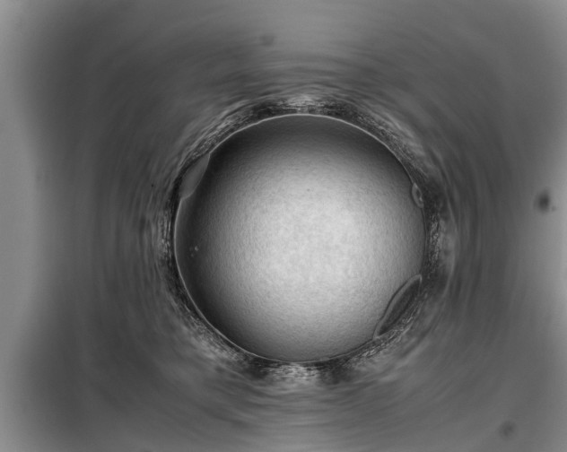 X0000099290421200805090935