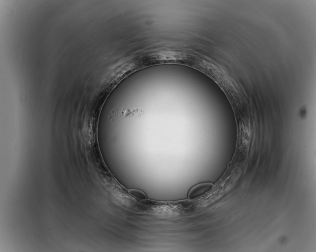X0000099290422200805090935