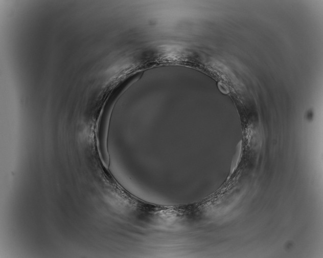 X0000099290423200805090935