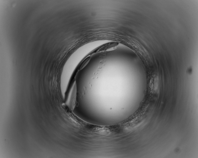 X0000099290424200805090935