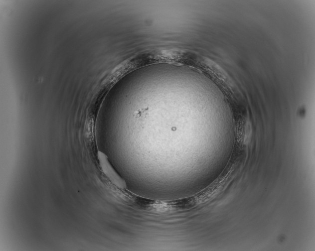 X0000099290425200805090935