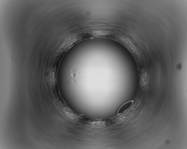 X0000099290426200805090935