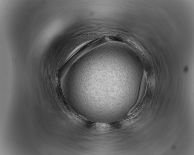 X0000099290429200805090935