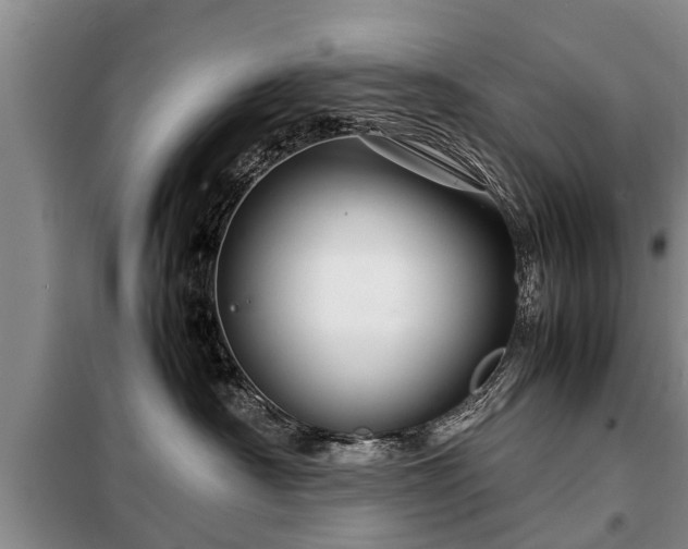 X0000099290430200805090935