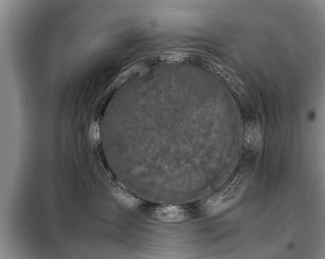 X0000099290431200805090935