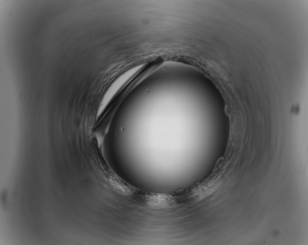 X0000099290432200805090935