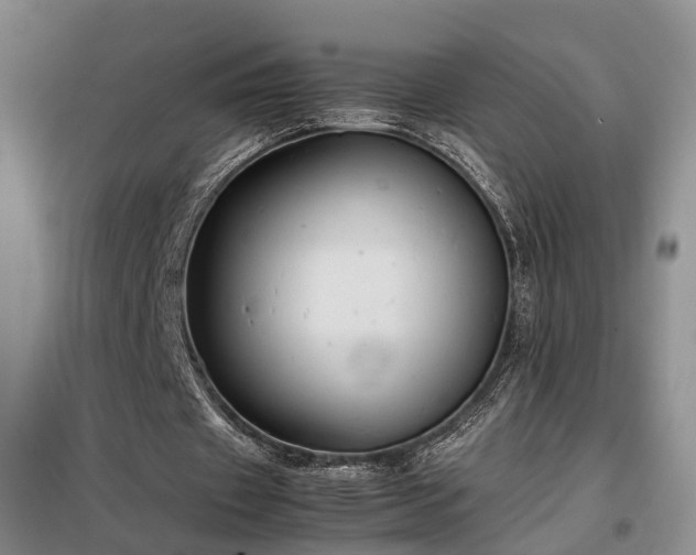 X0000099290433200805090934