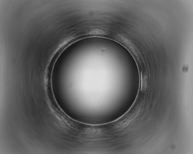 X0000099290435200805090934